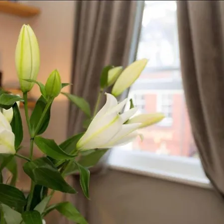 Apartman Beautiful Centre Close To Minster *