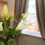 Apartment Beautiful Centre Close To Minster *