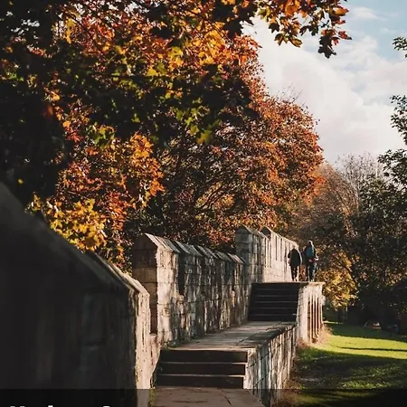 Apartment Beautiful Centre Close To Minster *