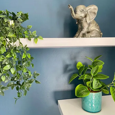 Beautiful Centre Close To Minster Apartment York